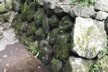 <p>Water is just coming out of the ground here</p>