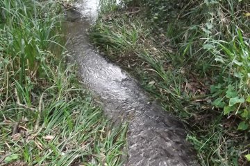 <p>One of the streams running through the park</p>