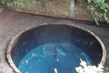 <p>That lookout overlooks this, the largest of the spring sources</p>