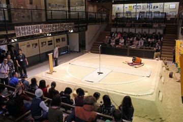 <p>The arena is small enough that everyone is close to the action</p>