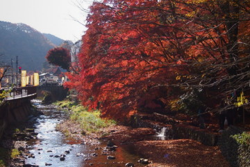 <p>타카오산의 단풍</p>