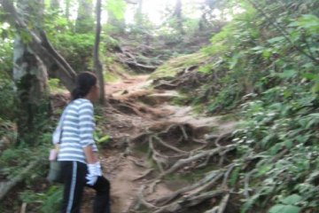 The hike starts to get interesting.