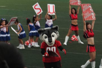 <p>Fujitsu Frontiers Mascot</p>