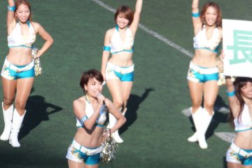 <p>Obic Seagals</p>