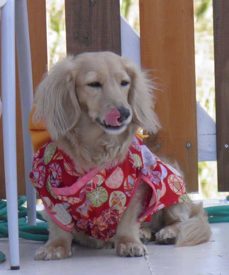 Hana sent que les pancakes arrivent.