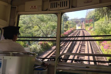 <p>Looking up on the ascent to Kasamatsu Park</p>