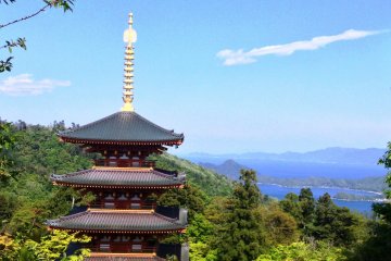 For visitors making the journey from Kyoto or Maizuru Port, there is a certain mirage like gasp when you see this place for the first time.