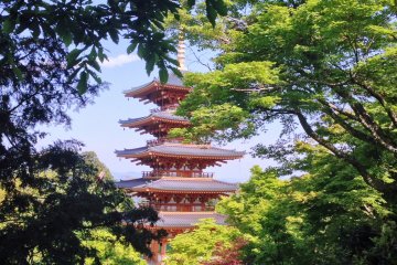 A glimpse of&nbsp;Nariaiji.