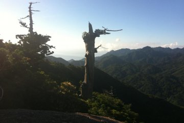 View from Taiko Iwa