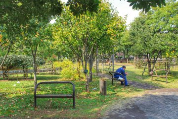 <p>A nice place to read a book</p>