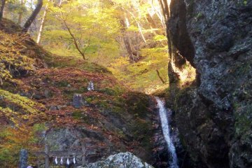 <p>Situ&eacute; vers la fin du "Rock Garden", Ayashiro-no-taki est une cascade de 10 m&egrave;tres qui est utilis&eacute;e pour les entrainements asc&eacute;tiques</p>