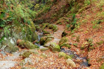 <p>Les feuilles d'automne et les rochers couverts de mousse font de cet endroit un des meilleurs spots de randonn&eacute;es de Tokyo</p>