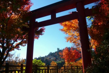 Les Sublimes Teintes du Mont Mitake