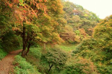 <p>L'automne est une des meilleures saisons pour une randonn&eacute;e au Mont Mitake</p>
