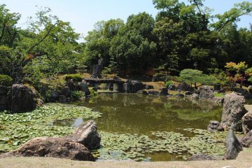 主要庭園的池塘