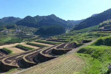 <p>Views of the terraces surrounding the village</p>
