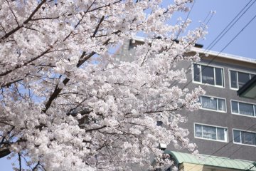 <p>Sebuah bangunan modern khas Jepang</p>