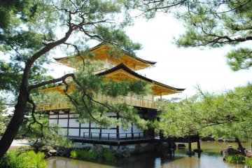 <p>View from the back, obscured by some really cool pines</p>