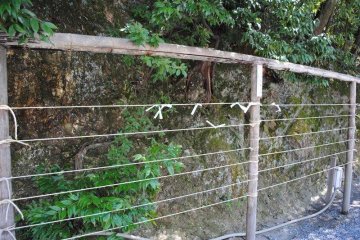 <p>Visitors can tie their fortunes on these strings to entreat action on it by a higher power - whether to make the fotune some true or prevent it from happening.</p>