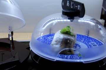 <p>Some sushi waiting to be chosen</p>
