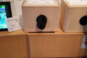 <p>Feel what is inside...</p>