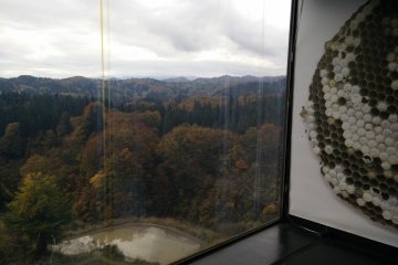 <p>View from the top of the 160 steps up to the tower</p>