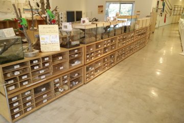 <p>Matsunoyama interesting boxes - all sorts of interesting things to find</p>