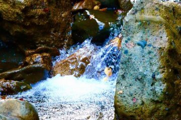 <p>Closeup pemandangan air sungai yang jernih</p>