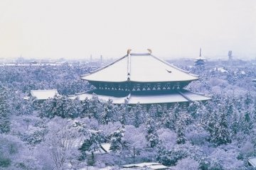 <p>Balai The Great Buddha di Todaiji terlihat di antara wilayah lain saat musim dingin
&nbsp;</p>