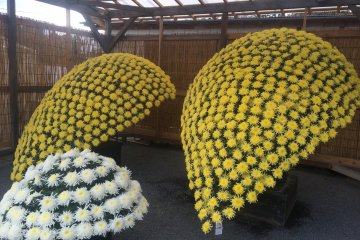 <p>Sebuah semak-semak yang dibentuk menyerupai tetesan air.</p>