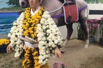 <p>Seorang tentara dengan kudanya</p>