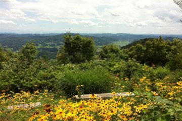 The colour of summer, looking out from Mt. Ohira