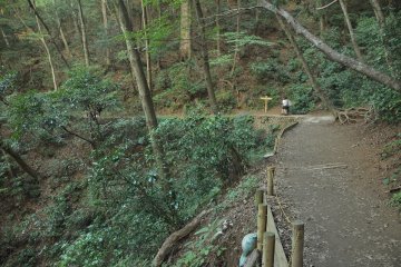 <p>Close to the end of the trail (mid-station) there are many turns, which makes the eventual view even more rewarding</p>