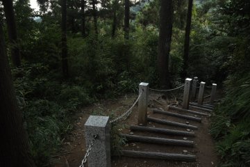 <p>Walking down Trail 1 as the sun is setting</p>