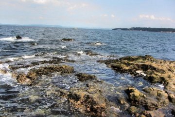 Rocky shore for fishing