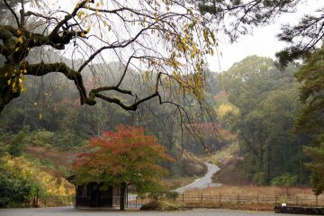 <p>Some natural beauty in the fall colors</p>