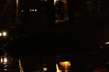 <p>A mix of dark and light</p>