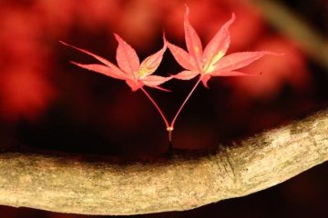 <p>Pay attention to the details, and you will be rewarded</p>