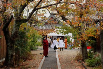 <p>The entrance to Junmyoji Temple</p>