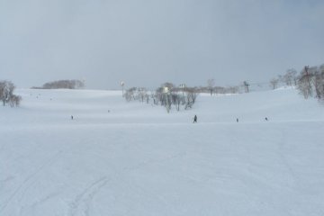 Les pistes de ski de Niseko