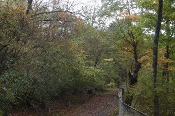 A lonely path
