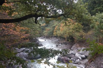 Get away from the crowds of tourists visiting Nikko