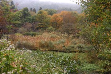 Autumn is a beautiful time to visit
