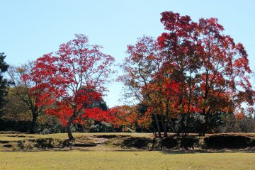 <p>The colors in the Tobihino Open Space</p>
