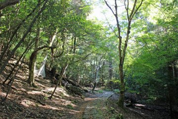 <p>The Yagyu Kaido/Takisaka no Michi. The rocks of the path could be quite slippery even when it wasn't raining</p>