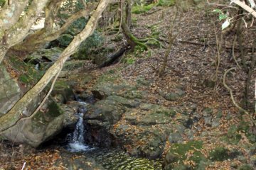 <p>The stream along the trail created an very soothing soundscape</p>