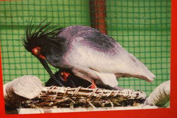 Promoting a visit to Toki-no-mori Park