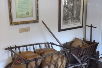 <p>Too much beer and this is how you get taken home</p>
