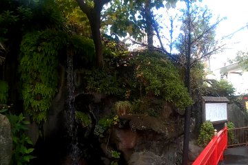 <p>La cascade du parc&nbsp;</p>