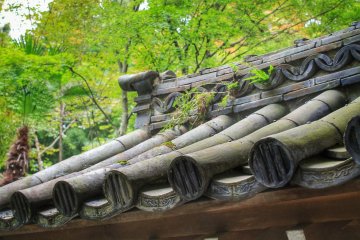The Gardens of Zuiho-ji